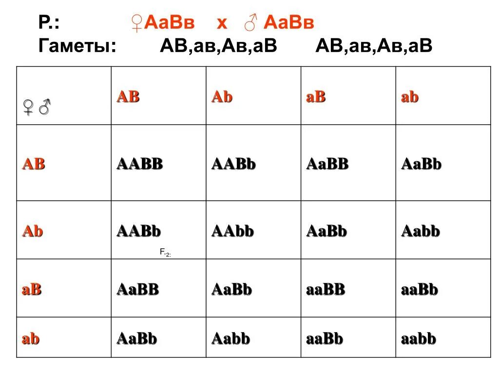 Возможные варианты гамет у особи аавв. AABB гаметы. AABB AABB генотип. Типы гамет AABB. ААВВ*ААВВ гаметы.