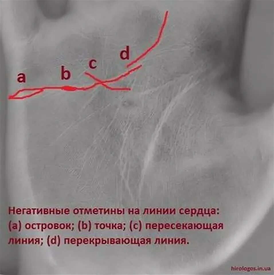 9 14 5 в линии любви: необычное исследование романтических отношений с числовым 