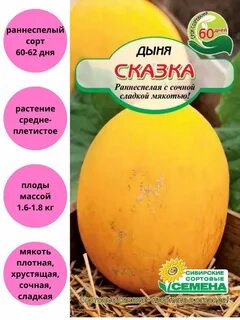Дыня сказка описание