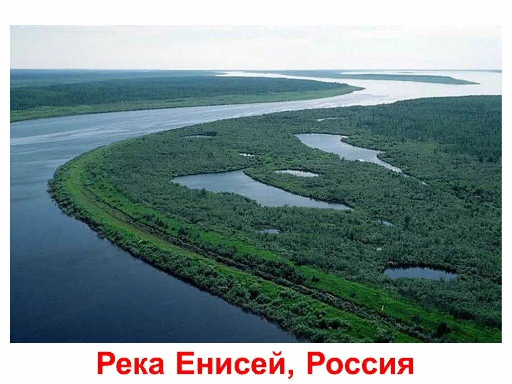 Западно-Сибирская равнина река Енисей. Река Енисей. Воды Западно сибирской равнины. Западно Сибирская равнина Обь. Западно сибирская равнина реки озера города