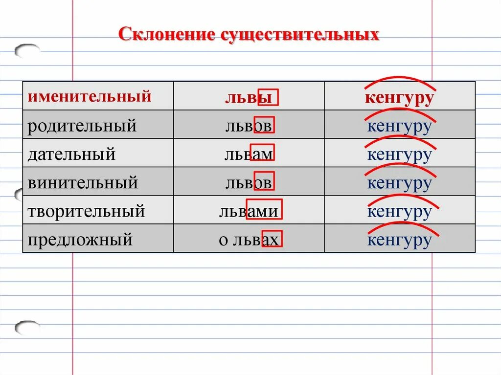 Склонение существительных. Склонение существительного. Кенгуру склонение существительного. Склонения существительных таблица.