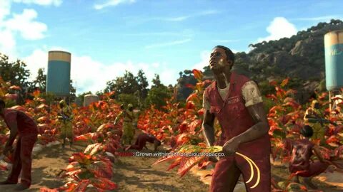 Far cry 6 печь кокос