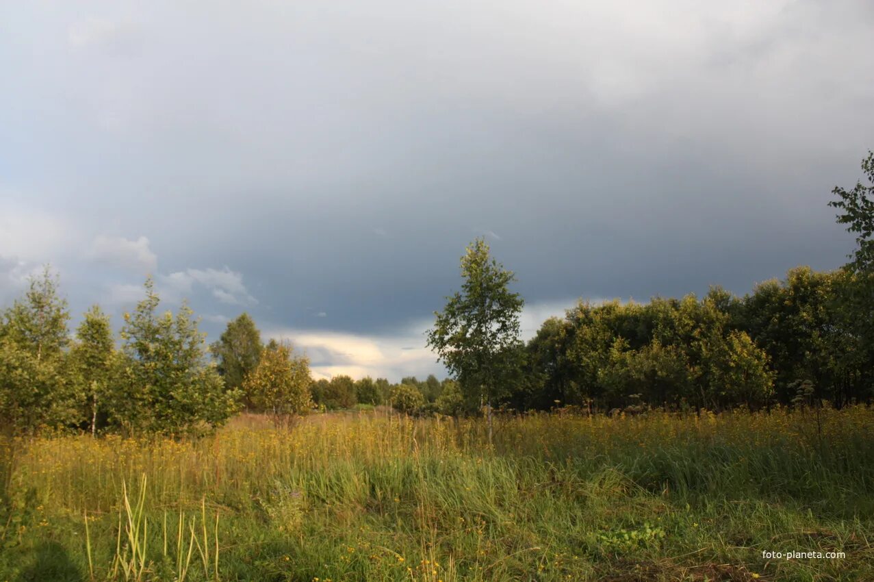 Село Туманово Вяземский район. Смоленская область Вяземский район село Туманово. Поляново Вяземский район. Поселок Туманово.