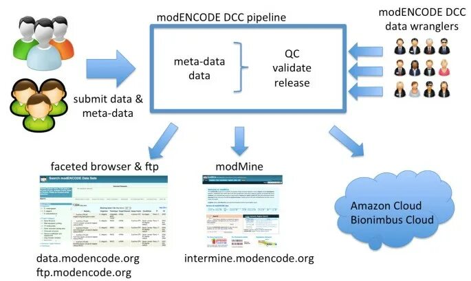Encode net. Encode net