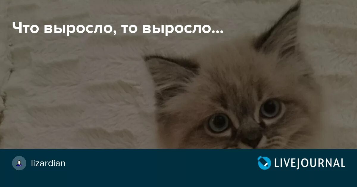 Что выросло то выросло. Что выросло то выросло юмор. То выросло что выросло то выросло. Что выросло то выросло Мем.