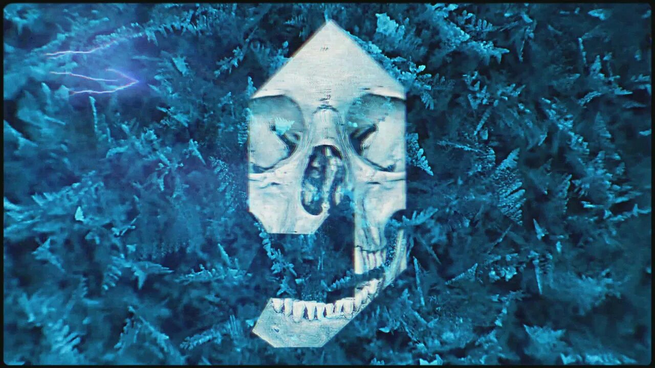 The ghost of johnny cash. Watcher in the sky ghost. Watcher in the sky ghost. Ghost riders in the sky. Ghost watchers призраки названия.