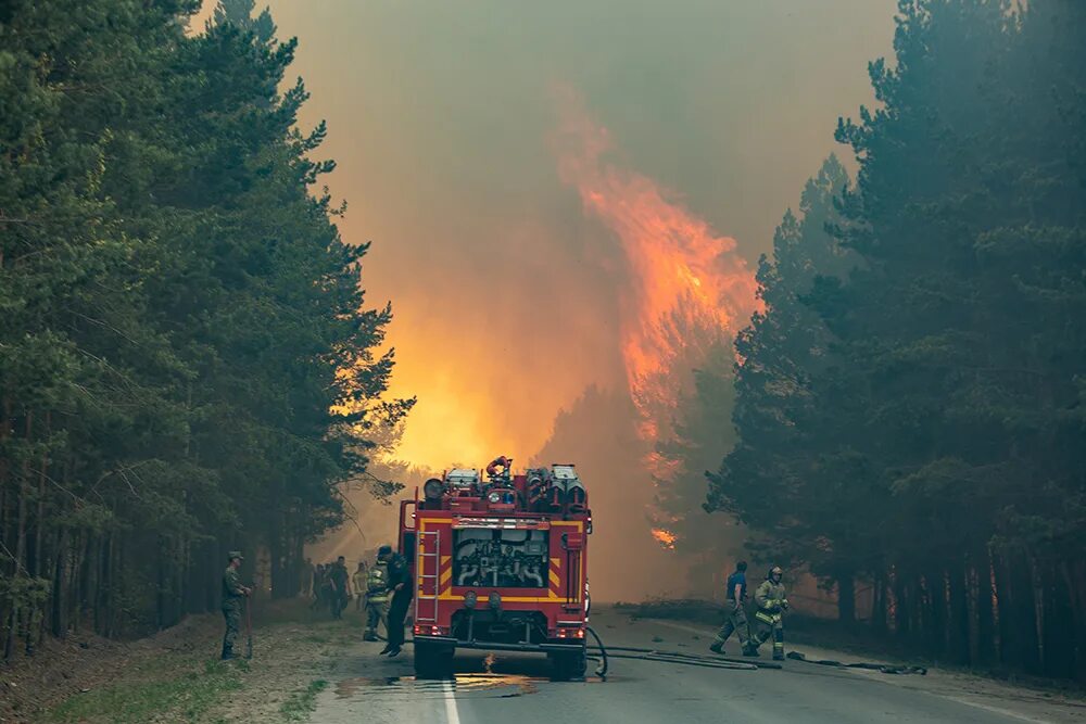 В атмосфере снова сгораю. Лесные пожары. Лесные пожары Швеции 2019. Лесные пожары - Железноводск. Лесопожарный АРС.