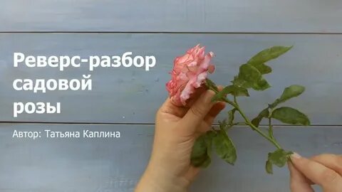 Цветы разбор
