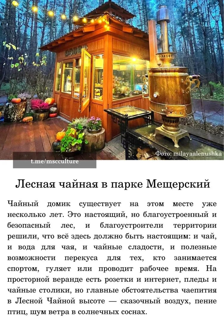 Мещерский парк чайный домик. Мещерский лес лесная чайная. Чайная высота москва меню. Кафе «чайная высота» меню. Чайная высота мещерский парк.