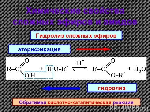 Гидролиз эфиров в кислой среде. Этерификация и гидролиз сложных эфиров. Обратимый гидролиз сложных эфиров. Кислотный гидролиз сложных эфиров. Сложные эфиры и амиды.