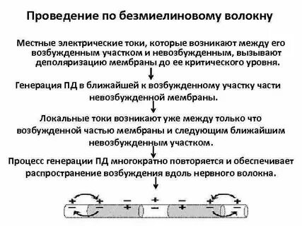 Механизм проведения