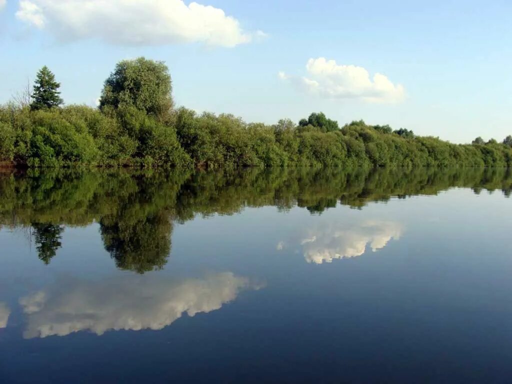 Таежный десна. Новгород Северский река Десна. Брянск река Березка. Водоемы Брянской области река Десна. Река Десна белая берёзка.