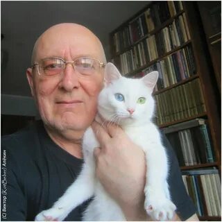 Алекин