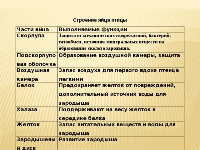 Функции оболочек яйца. Часть яйца строение функция таблица. Строение куриного яйца таблица. Яйцо биология строение и функции. Функции частей птичьего яйца таблица 7 класс.