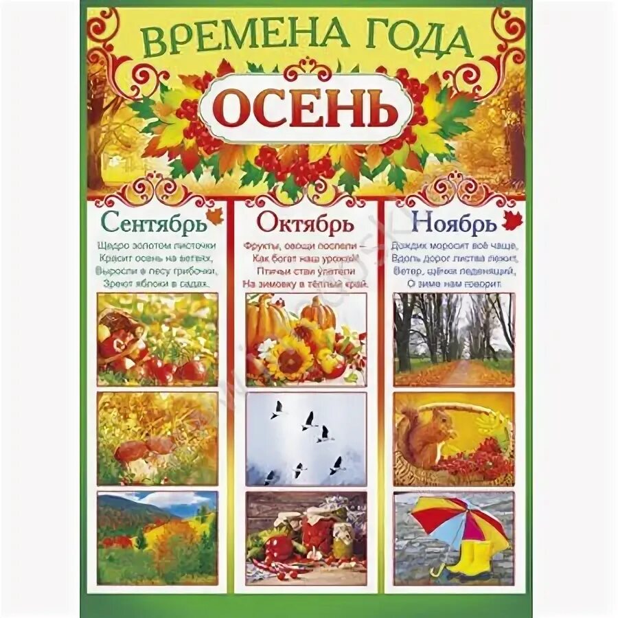 Осенний календарь 1 класс задания. Осенние месяцы для детей. месяцы осени для дошкольников. осенние месяцы для дошкольников. осенние месяцы календарь в детском саду.