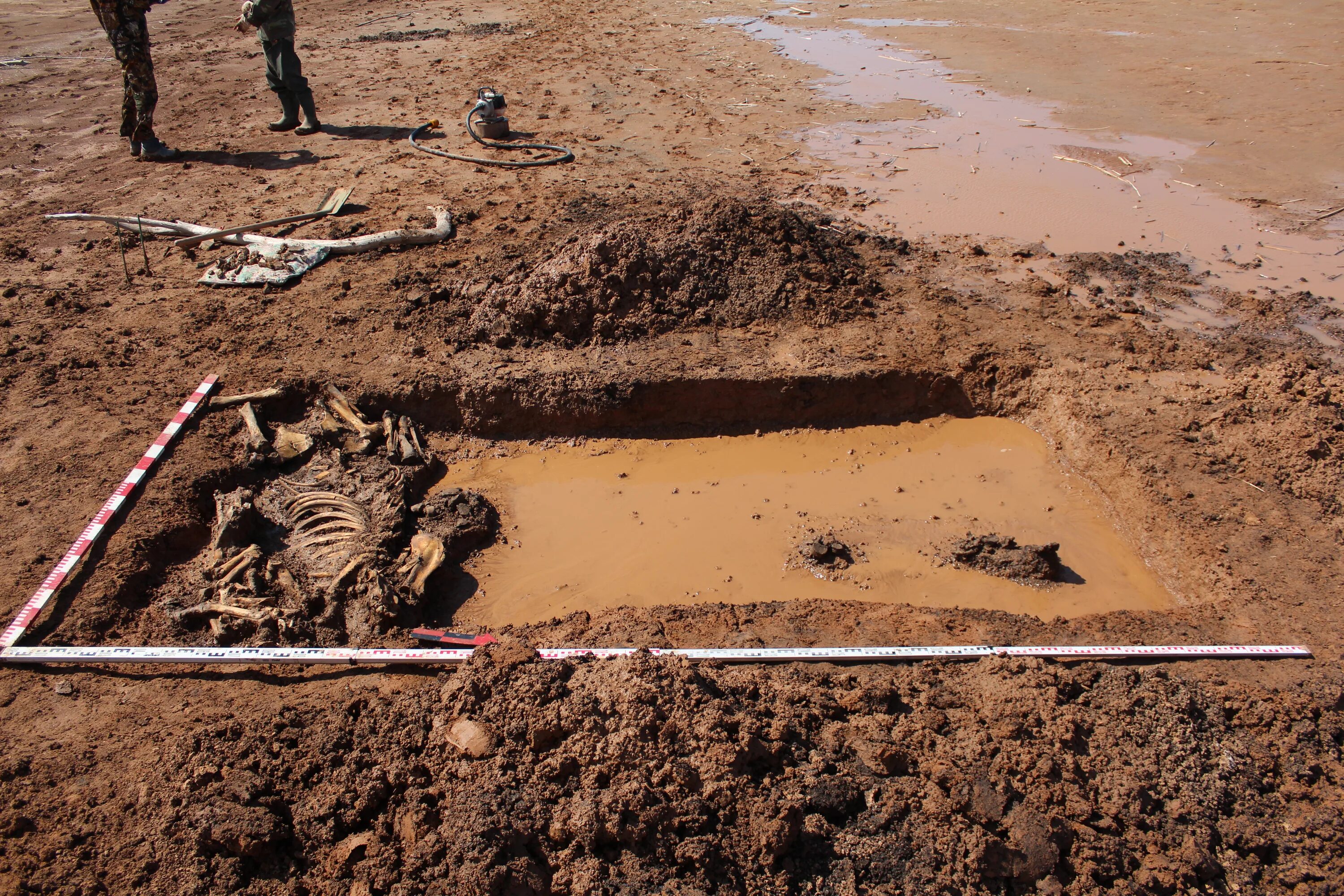 могильник 2. тлийский могильник. аралтобе могильник. скелет с раскопок археология. могильник 2.