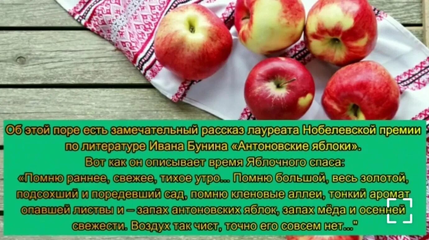 Можно ли есть яблоки утром