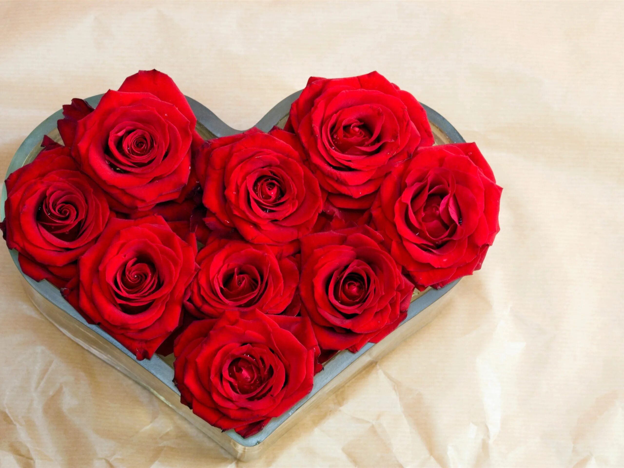 Кирмизи гуллар. Красные розы. Букет роз. Красивый букет роз. Букет красных роз.