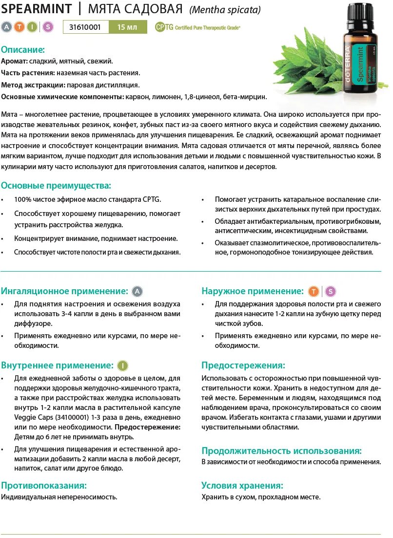 Перечная мята ДОТЕРРА описание. Садовая мята ДОТЕРРА. Мята ДОТЕРРА состав. Перечная мята DOTERRA описание.