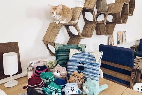 Котокафе екатеринбург