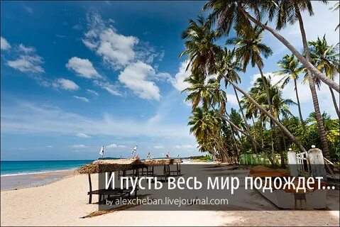 Весь мир подождет реклама