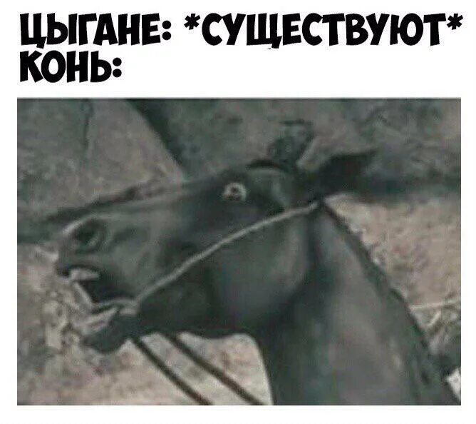 Цыгане крадут лошадей. Кража коней. Цыгане крадут лошадей. Украли лошадь. Ворует лошадь.