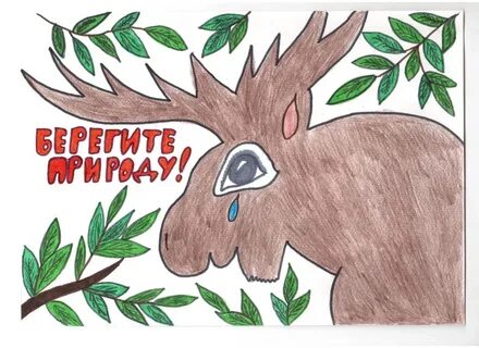 Берегите животных леса