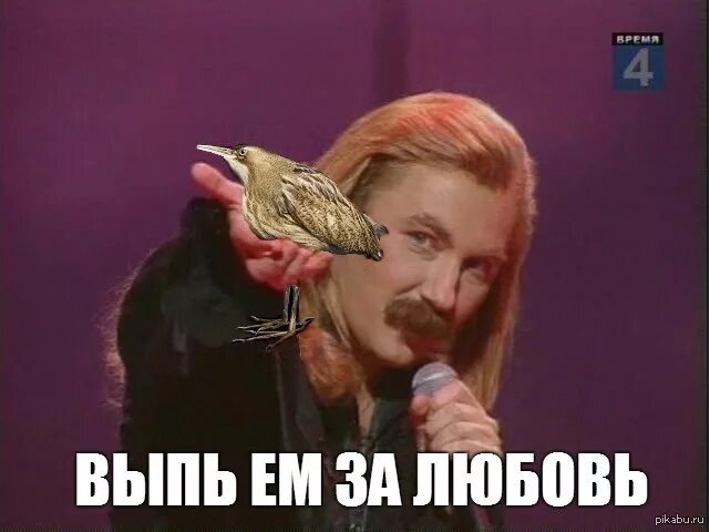 Голос выпи