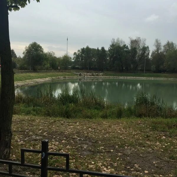 Перово пруд. Перово пруд. Купавенский пруд перово. Купавенский пруд перово. Новогиреево перовский пруд.