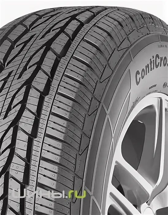 Шины continental lx2. Шины continental lx2