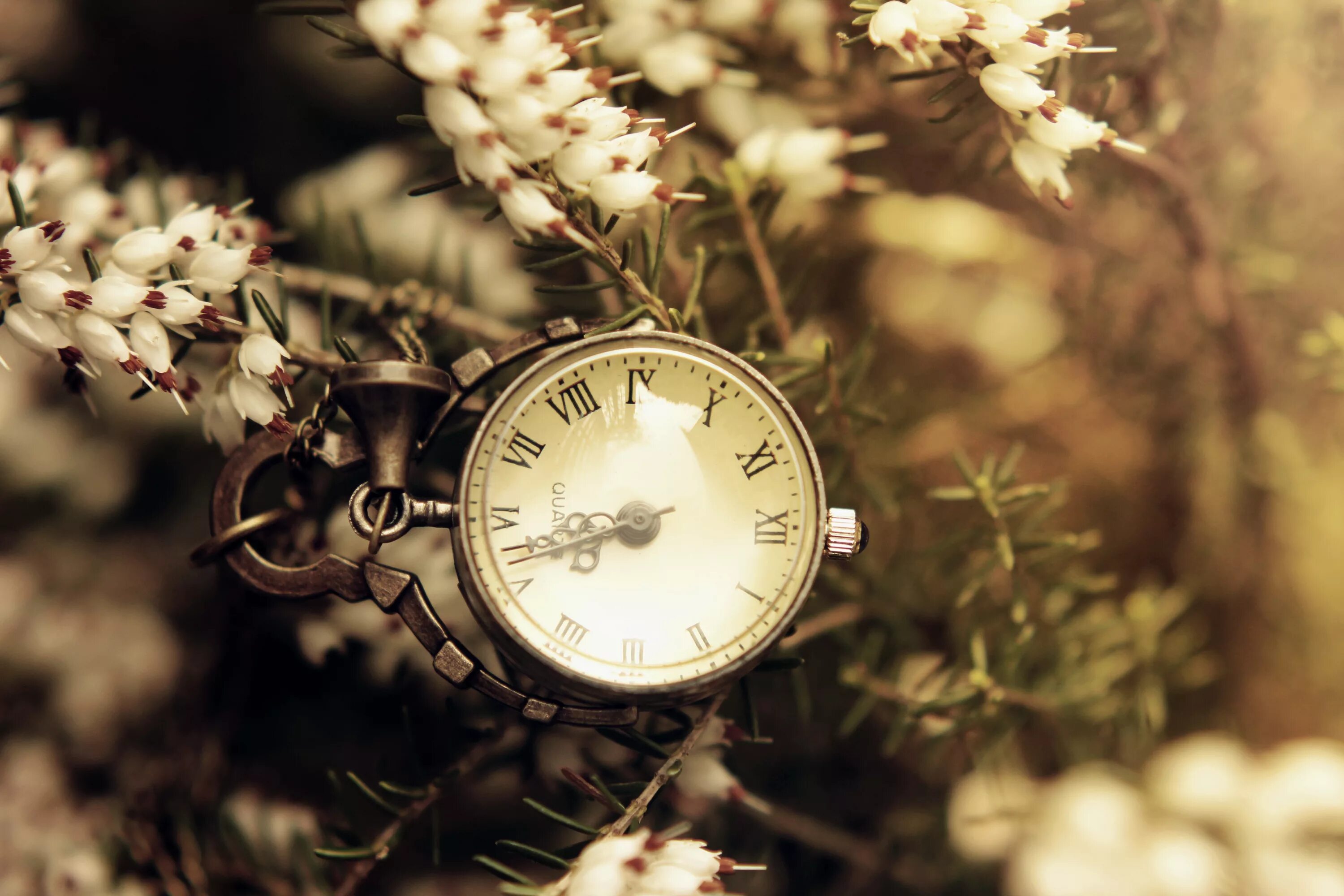 Былыя часы. Старинные часы. Часы "цветок". Красивые ретро часы. Часы фон.