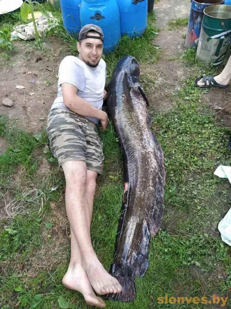 Рыба 5 метров