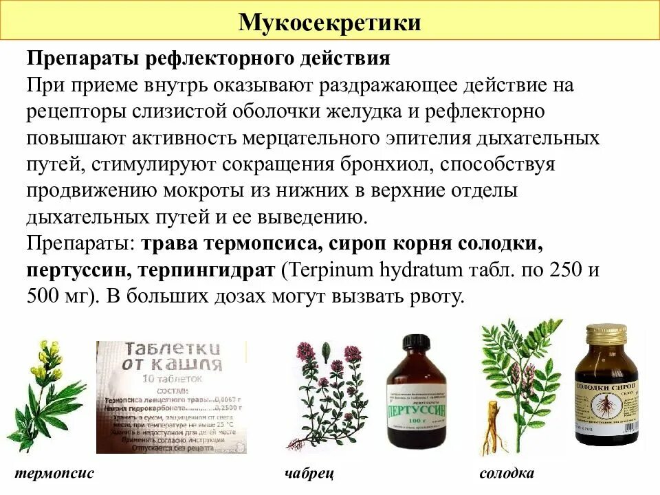 Что такое рефлекторное действие лекарственного препарата. Лекарственные препараты на основе экстрактов лекарственных. Лекарства ЖКТ оказывающие рефлекторное воздействие. Лекарственные растения влияющие на органы дыхания. Солодка давление