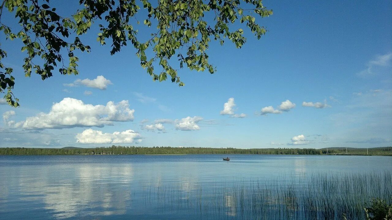 Селява (озеро). Озеро Нещердо Беларусь. Озеро Сингуль Ялуторовский район. Озеро Щелкун. Озеро время работы