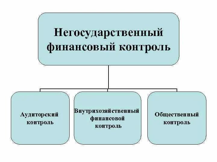 Субъекты и формы государственного контроля. Виды негосударственного финансового контроля. структура государственного финансового контроля.