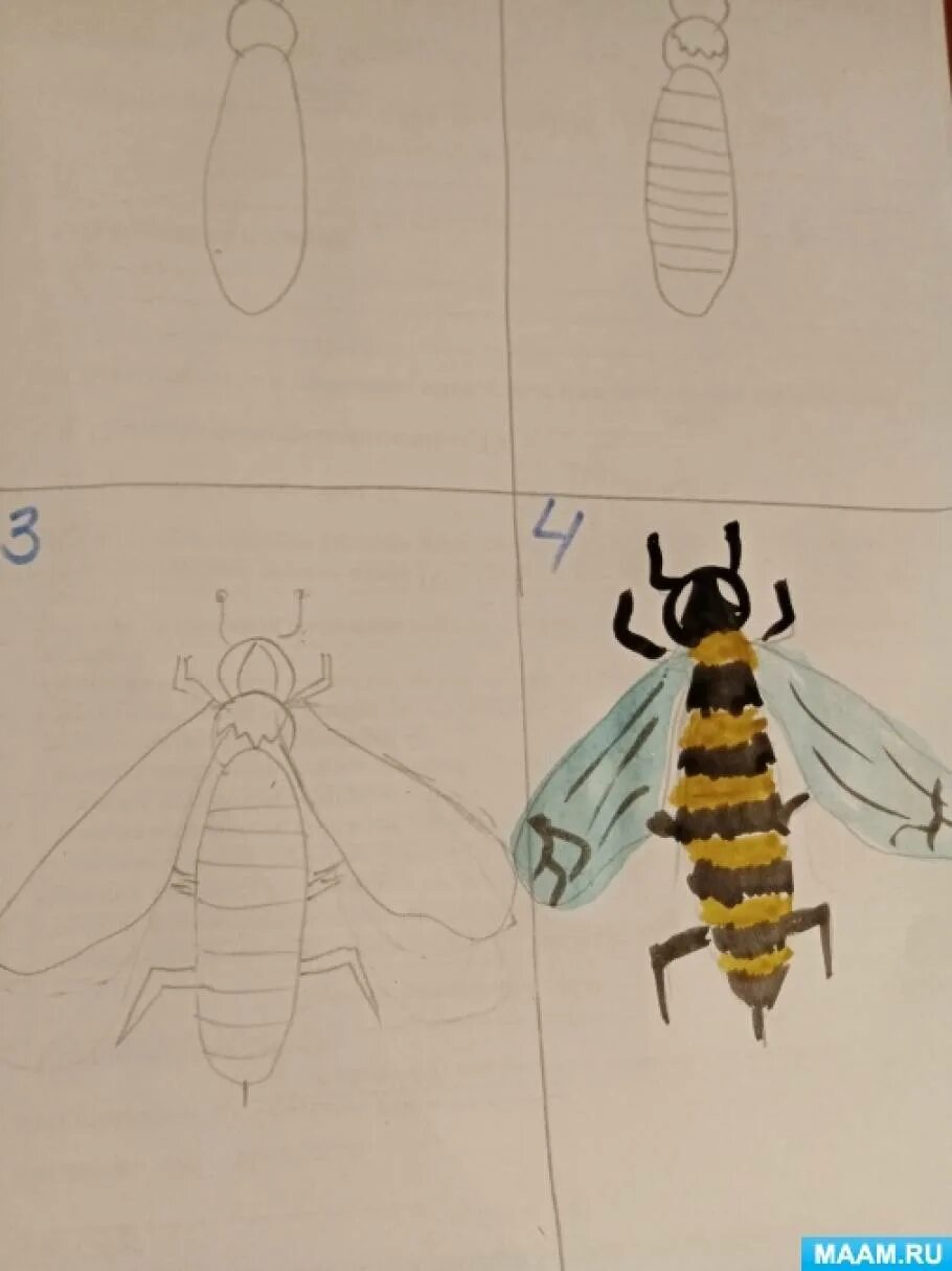 Рисование насекомые старшая. Рисование насекомые старшая группа. Рисование в средней гр насекомые. Рисование средней группе на май насекомые. Поэтапное рисование насекомых.