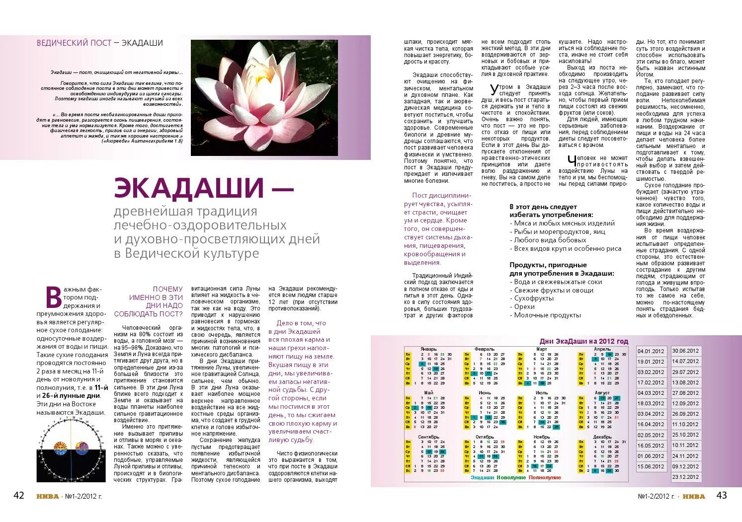 Экадаши разрешенные и запрещенные продукты. Экадаши как правильно войти и выйти. Пост экадаши. Пост экадаши. День экадаши.