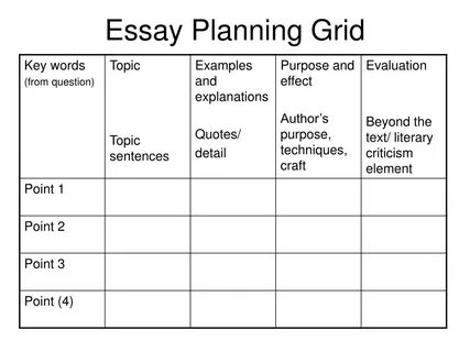 Essay writing words