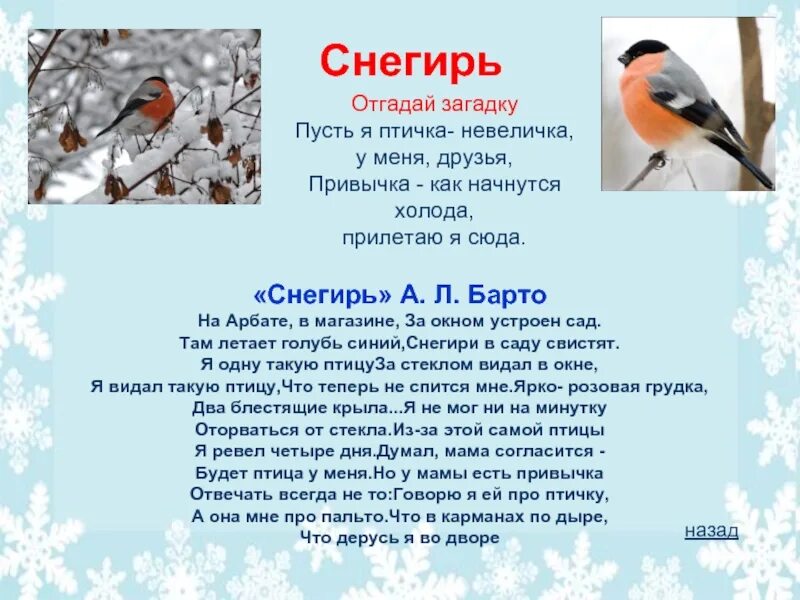 Стихотворение про снегиря. Снегирь стихотворение барто. Стишки про снегиря. Стихотворение про снегиря. Текст стихотворения снегирь.