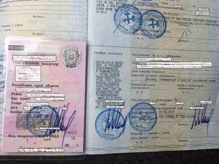 Грузовые документы