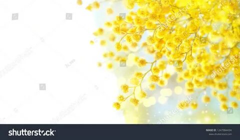 Контур норматив октябрь 2024