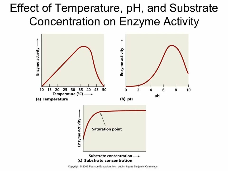 Effect of temperature and PH on Enzyme activity. The Effect of the temperature. PH and temperature Optimum for Enzymes. Influence of temperature. Effect o