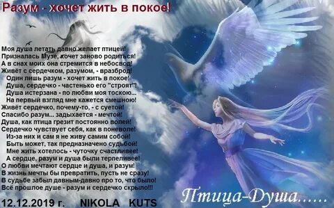 Два крыла надежды песня