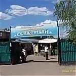 Рынок электросталь. Строительный переулок 9 электросталь. Рынок электросталь. Рынок электросталь. Рынок электросталь.