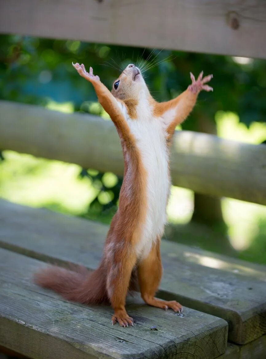 Боже скоро. Боже скоро. Отпуск демотиватор. Шутки про класс в школе. Боже дай мне терпения.