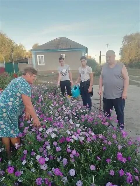 город павлово нижегородской области. фонтан павлово. климат павловский посад. погода в павлово нижегородской области на неделю. павловск воронежская область.
