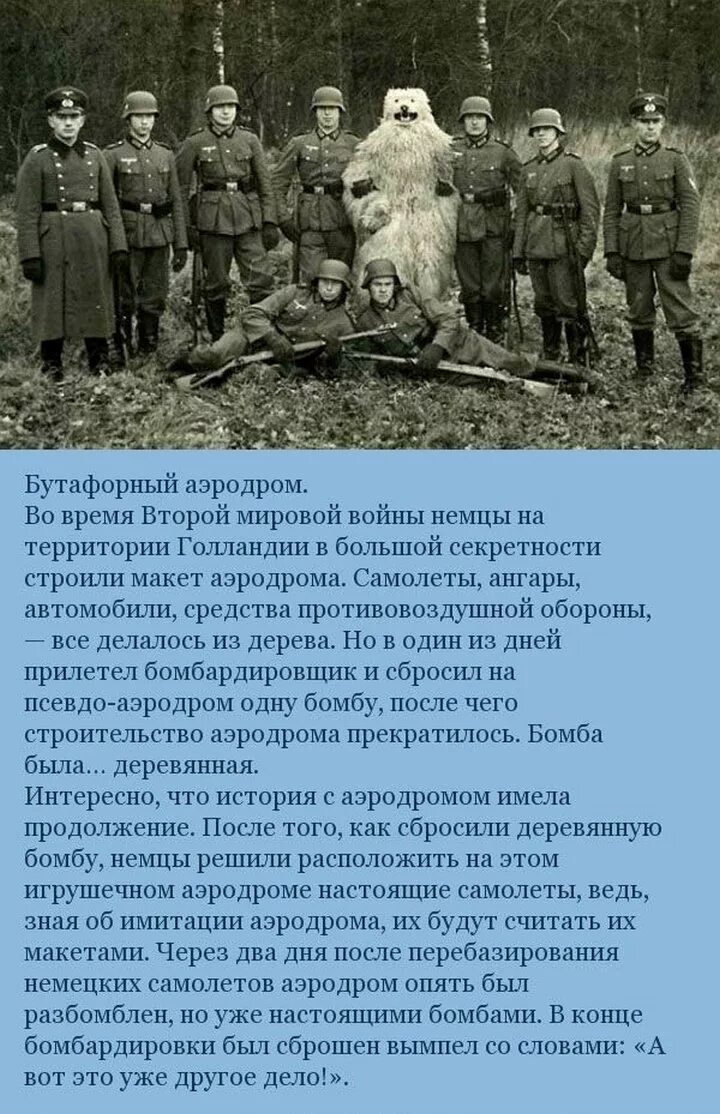 Рассказы про мировую войну. Рассказ о второй мировой. Интересные факты о второй мировой. Рассказ о мировой войне. Войны в мировой истории.