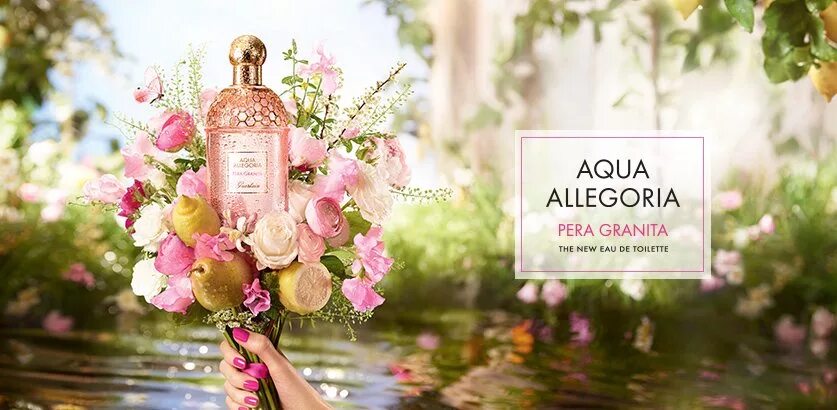 Guerlain Aqua Allegoria Pera granita Guerlain. Guerlain Aqua Allegoria Pera granita/герлен аллегория пера. Герлен Аква аллегория гранат. Герлен духи женские гранат. Guerlain aqua allegoria pera