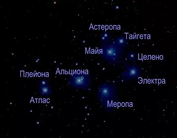 Созвездие звезды плейона. Звезда Альциона созвездия Плеяд. Созвездие Плеяды схема. Плеяда звезд. Плеяды Звёздное скопление.