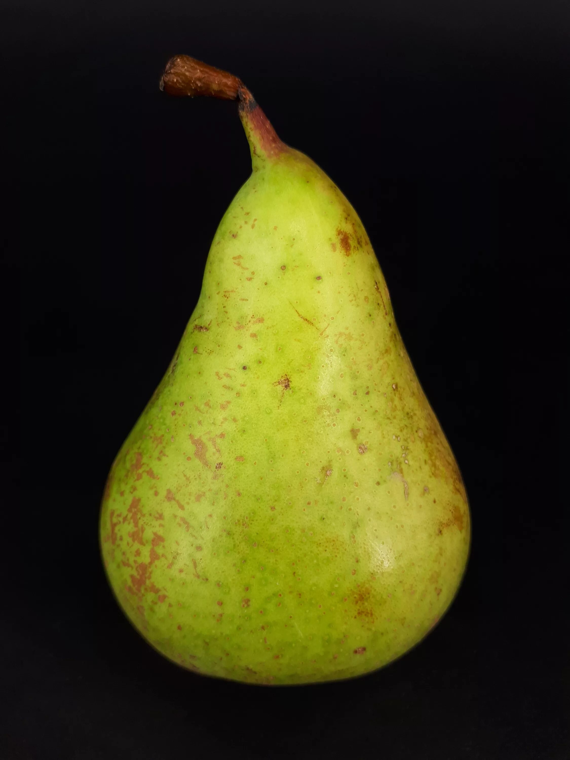 Груша 2017. Fructibus. Груша 2017. Груша эпл. Груша 2017.